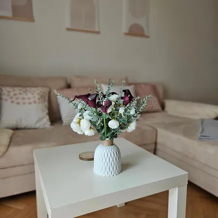 Cozy 3-room In Old Town דירה קושיצה