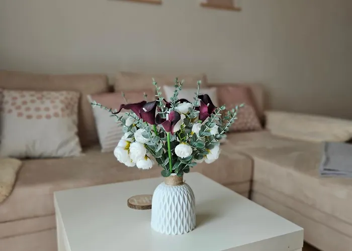 Cozy 3-room In Old Town Daire Kösice